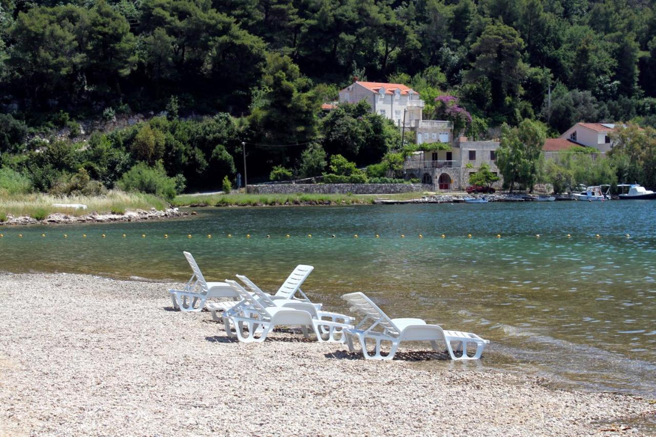Apartments With A Parking Space Slano, Dubrovnik - 8540