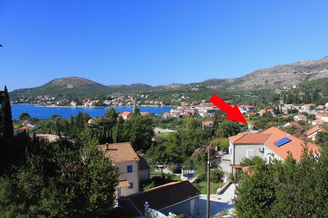 Apartments With A Parking Space Slano, Dubrovnik - 8540 Apartment *