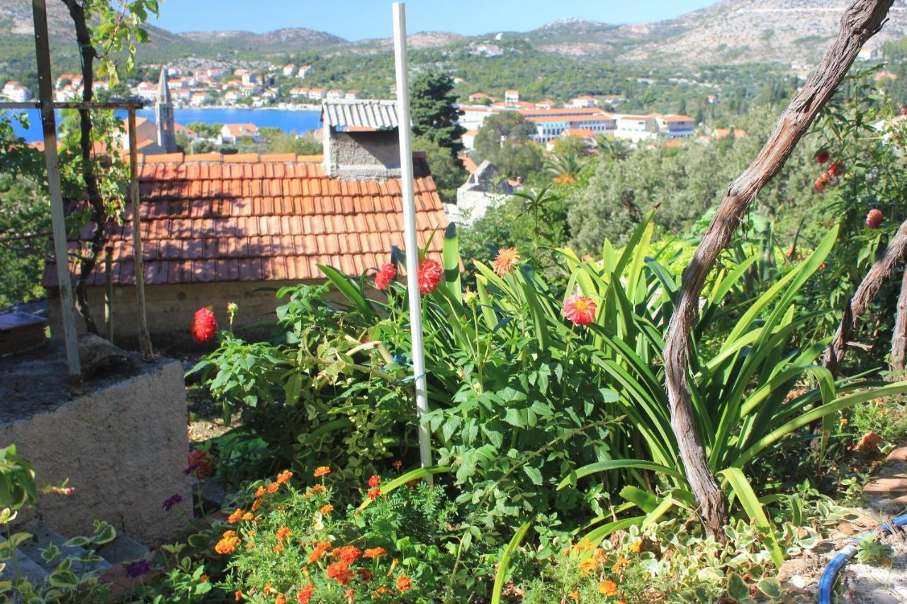 Apartments With A Parking Space Slano, Dubrovnik - 8540 Apartment