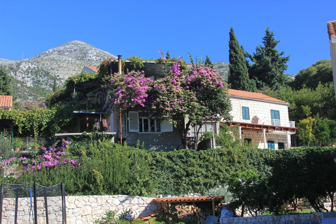 Apartments With A Parking Space Slano, Dubrovnik - 8540 Apartment *